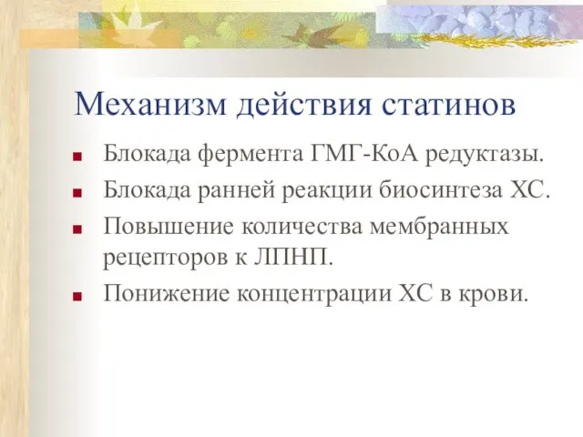 Механизм действия статинов Блокада фермента ГМГ-КоА редуктазы. Блокада ранней реакции биосинтеза