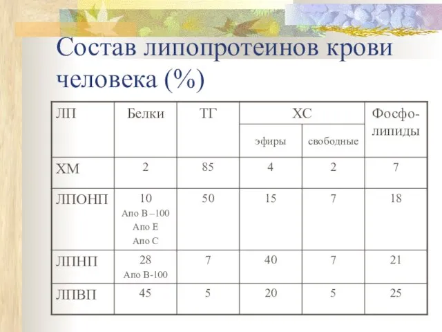 Состав липопротеинов крови человека (%)