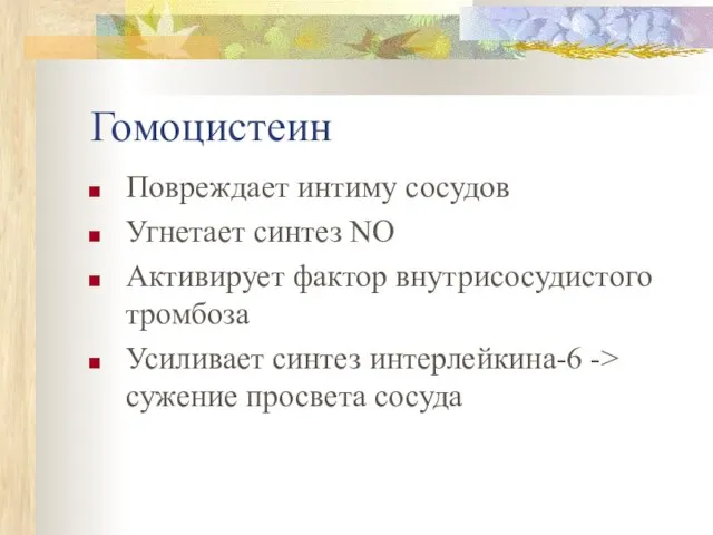 Гомоцистеин Повреждает интиму сосудов Угнетает синтез NO Активирует фактор внутрисосудистого тромбоза