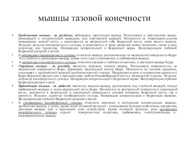 мышцы тазовой конечности Гребешковая мышца – m. pectineus, небольшая, треугольная мышца.