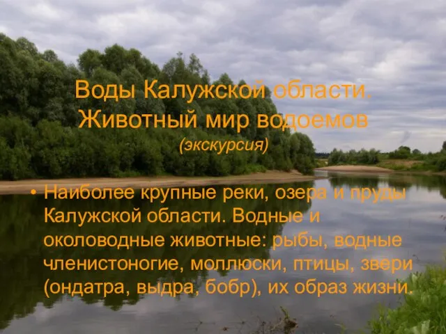 Воды Калужской области. Животный мир водоемов (экскурсия) Наиболее крупные реки, озера