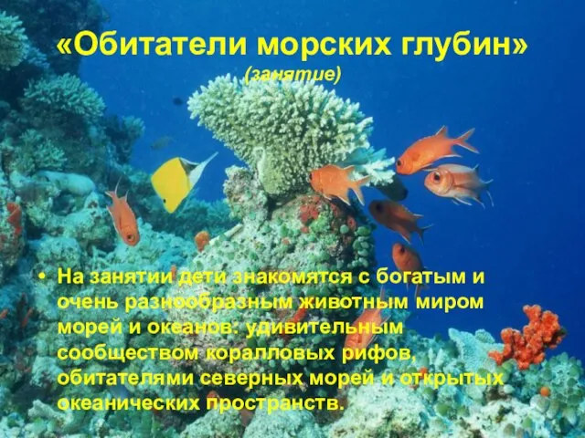 «Обитатели морских глубин» (занятие) На занятии дети знакомятся с богатым и