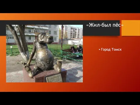«Жил-был пёс» Город Томск