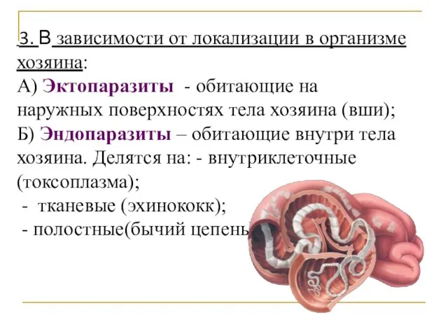 3. В зависимости от локализации в организме хозяина: А) Эктопаразиты -