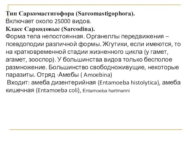 Тип Саркомастигофора (Sarcomastigophora). Включает около 25000 видов. Класс Саркодовые (Sarcodina). Форма