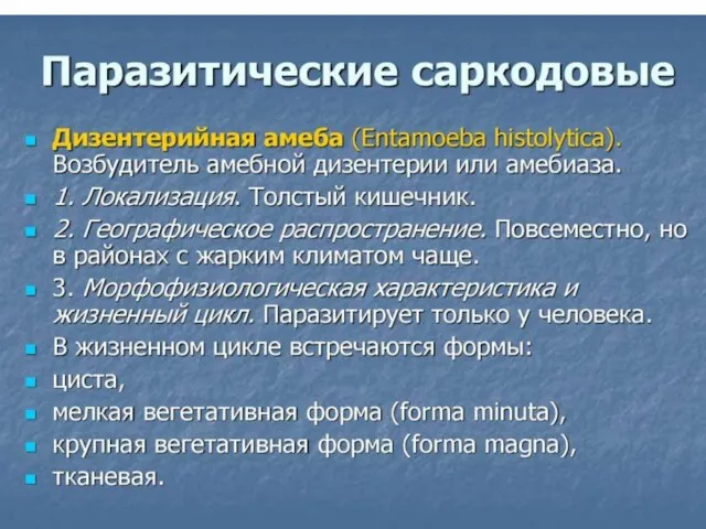 Для медицинской паразитологии наибольший интерес представляет дизентерийная амёба (Entamoeba Histolytica) –