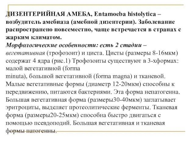 ДИЗЕНТЕРИЙНАЯ АМЕБА, Entamoeba histolytica – возбудитель амебиаза (амебной дизентерии). Заболевание распространено