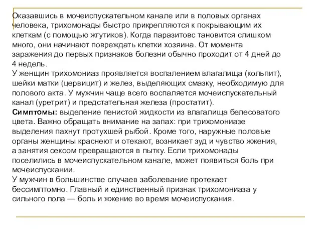 Оказавшись в мочеиспускательном канале или в половых органах человека, трихомонады быстро