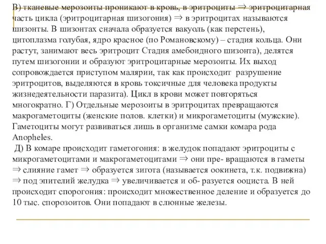 В) тканевые мерозоиты проникают в кровь, в эритроциты ⇒ эритроцитарная часть