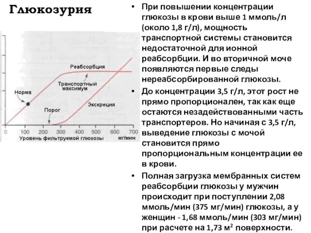 Глюкозурия При повышении концентрации глюкозы в крови выше 1 ммоль/л (около