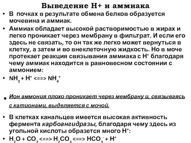 Выведение Н+ и аммиака В почках в результате обмена белков образуется