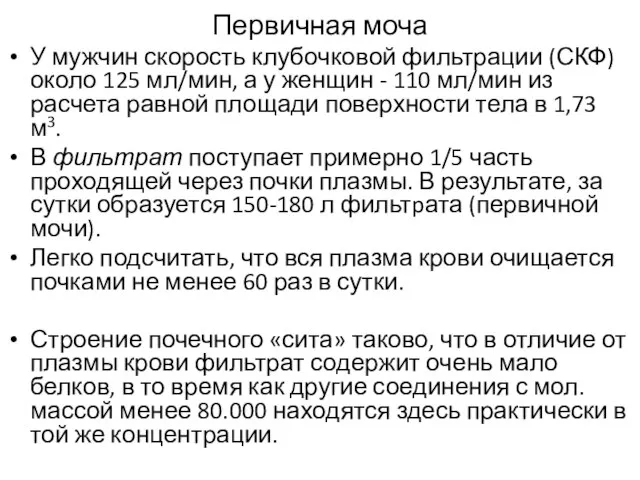 Первичная моча У мужчин скорость клубочковой фильтрации (СКФ) около 125 мл/мин,