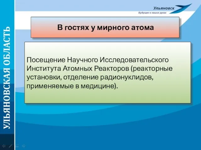 В гостях у мирного атома Посещение Научного Исследовательского Института Атомных Реакторов