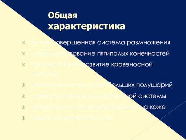 более совершенная система размножения совершенствование пятипалых конечностей прогрессивное развитие кровеносной системы