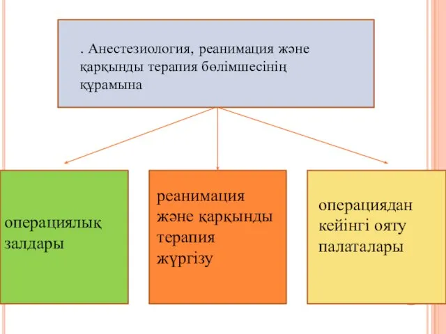 . Анестезиология, реанимация және қарқынды терапия бөлімшесінің құрамына операциялық залдары реанимация