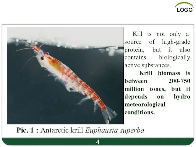 Part 1 Pic. 1 : Antarctic krill Euphausia superba Kill is