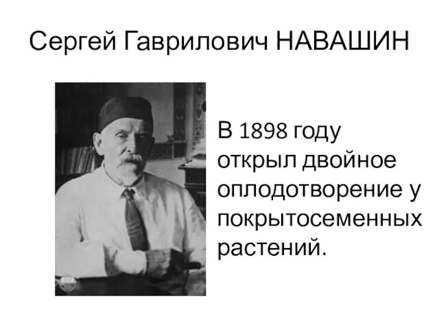 Сергей Гаврилович НАВАШИН В 1898 году открыл двойное оплодотворение у покрытосеменных растений.