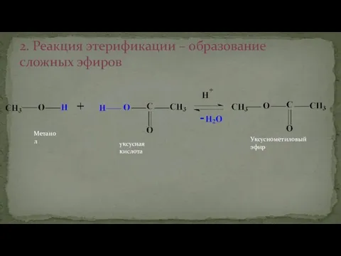 2. Реакция этерификации – образование сложных эфиров