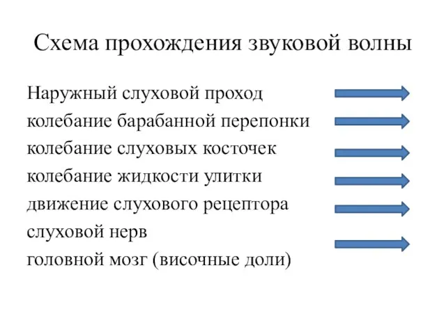 Схема прохождения звуковой волны Наружный слуховой проход колебание барабанной перепонки колебание