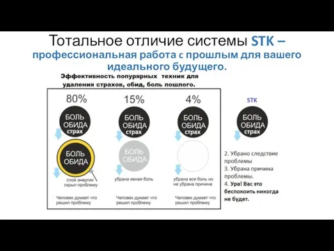 Тотальное отличие системы STK – профессиональная работа c прошлым для вашего идеального будущего.