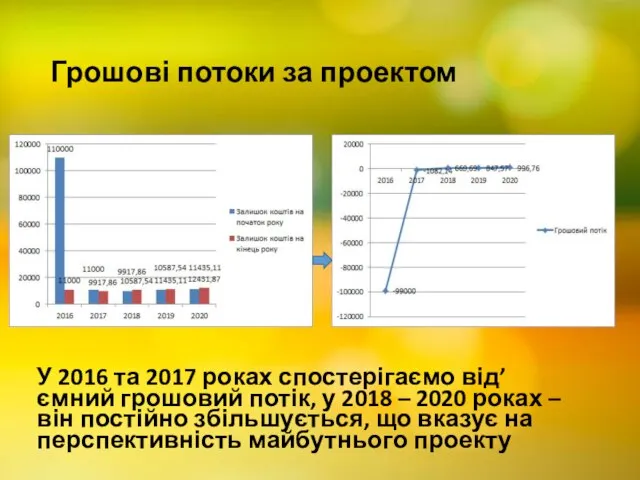 Грошові потоки за проектом У 2016 та 2017 роках спостерігаємо від’ємний