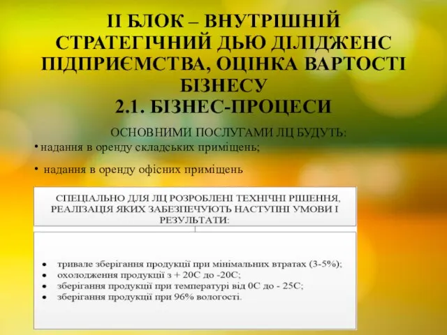 II БЛОК – ВНУТРІШНІЙ СТРАТЕГІЧНИЙ ДЬЮ ДІЛІДЖЕНС ПІДПРИЄМСТВА, ОЦІНКА ВАРТОСТІ БІЗНЕСУ