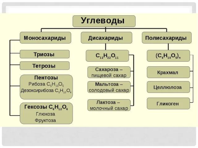 УГЛЕВОДЫ