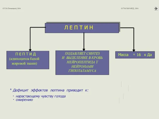 * Дефицит эффектов лептина приводит к: ∙ нарастающему чувству голода Л