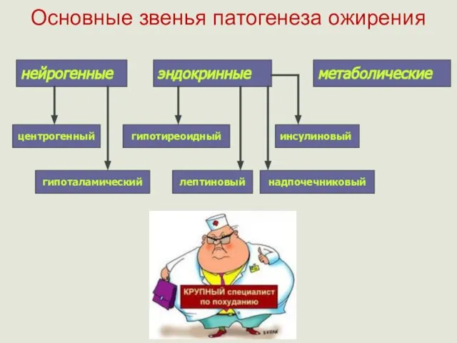 Основные звенья патогенеза ожирения