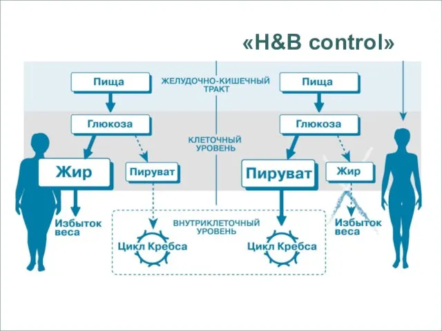 «Н&В control»