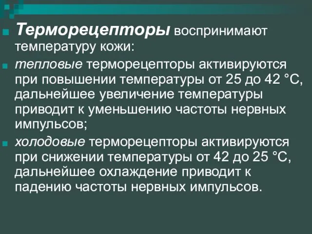 Терморецепторы воспринимают температуру кожи: тепловые терморецепторы активируются при повышении температуры от