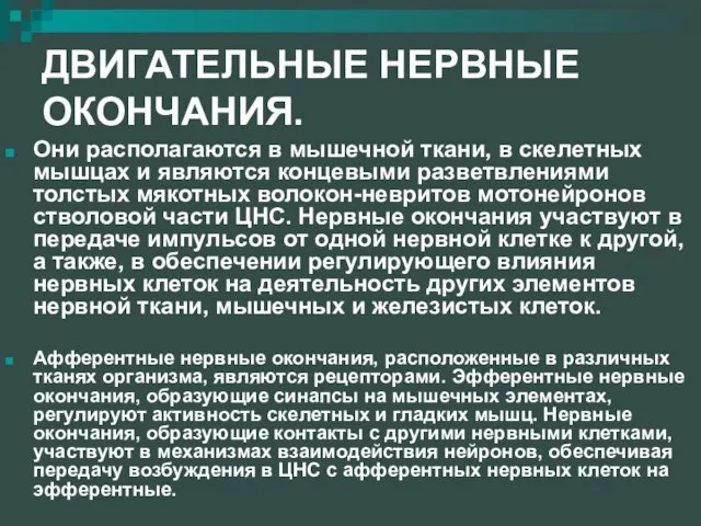 ДВИГАТЕЛЬНЫЕ НЕРВНЫЕ ОКОНЧАНИЯ. Они располагаются в мышечной ткани, в скелетных мышцах