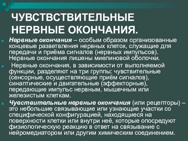 ЧУВСТВСТВИТЕЛЬНЫЕ НЕРВНЫЕ ОКОНЧАНИЯ. Нервные окончания – особым образом организованные концевые разветвления