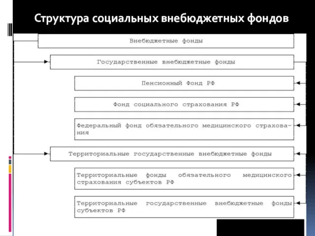 Структура социальных внебюджетных фондов