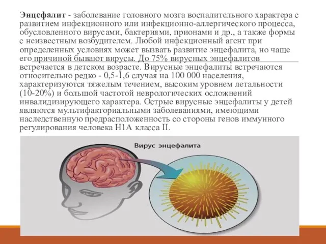 Энцефалит - заболевание головного мозга воспалительного характера с развитием инфекционного или