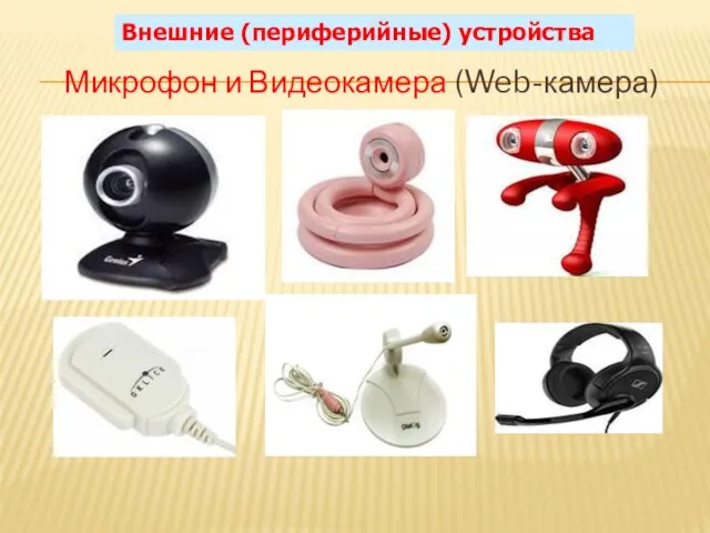 Микрофон и Видеокамера (Web-камера) Внешние (периферийные) устройства