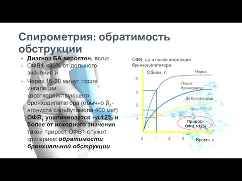 Спирометрия: обратимость обструкции Диагноз БА вероятен, если: ОФВ1 Через 15-20 минут