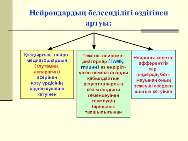 Нейрондардың белсенділігі өздігінен артуы: Қоздырғыш нейро- медиаторлардың (глутамин, аспарагин) әсерінен қозу