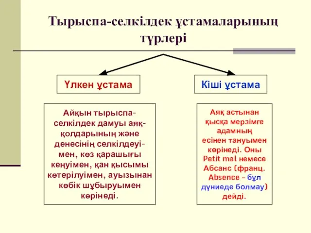 Тырыспа-селкілдек ұстамаларының түрлері Үлкен ұстама Кіші ұстама Айқын тырыспа- селкілдек дамуы