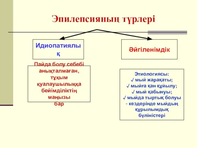 Эпилепсияның түрлері Идиопатиялық Әйгіленімдік Пайда болу себебі анықталмаған, тұқым қуалаушылыққа бейімділіктің