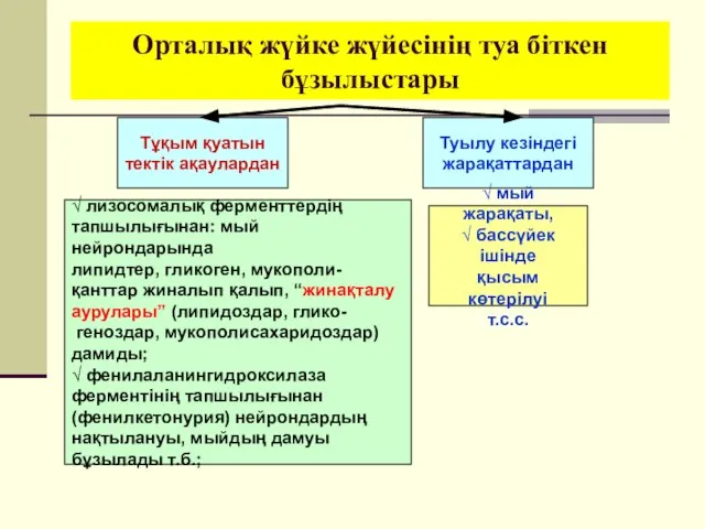 Орталық жүйке жүйесінің туа біткен бұзылыстары Тұқым қуатын тектік ақаулардан Туылу