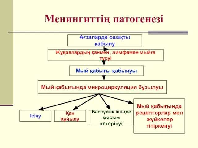 Менингиттің патогенезі Ағзаларда ошақты қабыну Жұқпалардың қанмен, лимфамен мыйға түсуі Мый