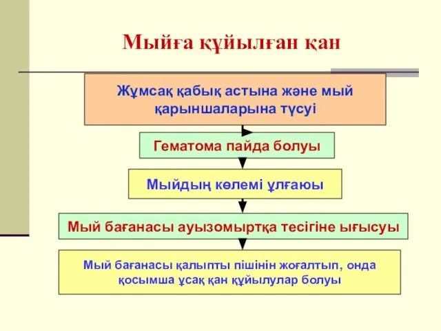 Мыйға құйылған қан Жұмсақ қабық астына және мый қарыншаларына түсуі Гематома