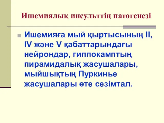 Ишемиялық инсульттің патогенезі Ишемияға мый қыртысының II, IV және V қабаттарындағы