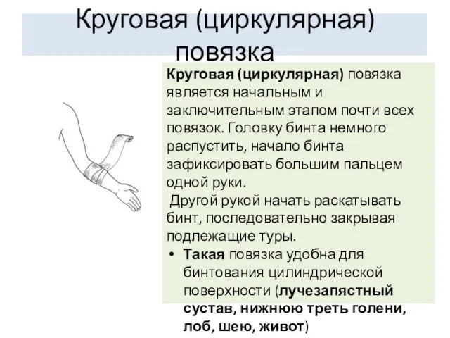 Круговая (циркулярная) повязка Круговая (циркулярная) повязка является начальным и заключительным этапом