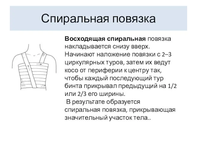 Спиральная повязка Восходящая спиральная повязка накладывается снизу вверх. Начинают наложение повязки