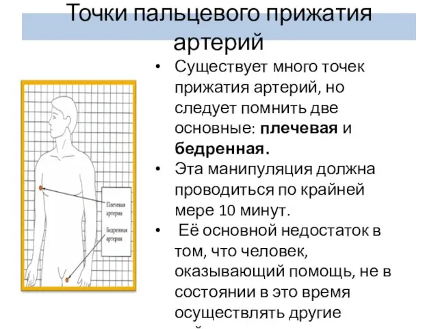 Точки пальцевого прижатия артерий Существует много точек прижатия артерий, но следует