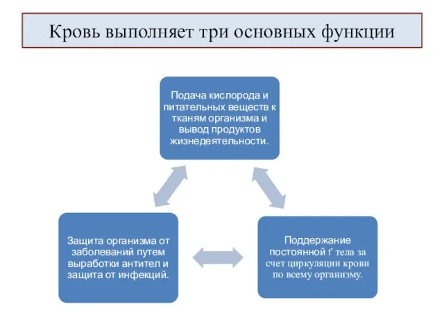 Кровь выполняет три основных функции