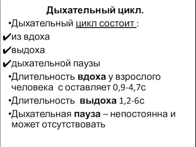 Дыхательный цикл. Дыхательный цикл состоит : из вдоха выдоха дыхательной паузы