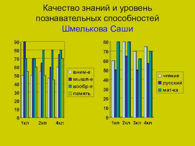 Качество знаний и уровень познавательных способностей Шмелькова Саши